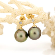 Load image into Gallery viewer, READY TO SHIP Civa Fiji Graded Pearl Earrings #BO3024 - 14k Solid Gold FJD$
