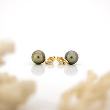 Load image into Gallery viewer, READY TO SHIP Civa Fiji Graded Pearl Earrings #BO3024 - 14k Solid Gold FJD$
