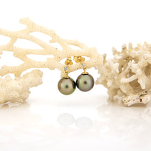 Load image into Gallery viewer, READY TO SHIP Civa Fiji Graded Pearl Earrings #BO3024 - 14k Solid Gold FJD$
