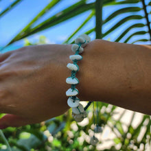 Load image into Gallery viewer, READY TO SHIP Unisex Shell Money Bracelet - Nylon FJD$
