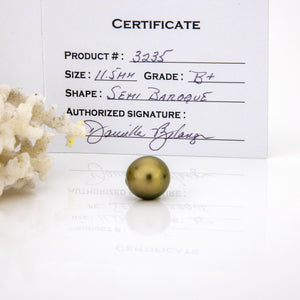 Fiji Loose Saltwater Pearl with Grade Certificate #3235 - FJD$