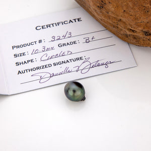 Fiji Loose Saltwater Pearl with Grade Certificate #3243 - FJD$