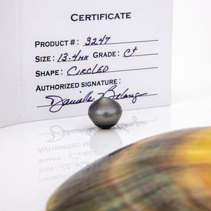 Fiji Loose Saltwater Pearl with Grade Certificate #3247 - FJD$