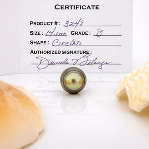 Fiji Loose Saltwater Pearl with Grade Certificate #3248 - FJD$