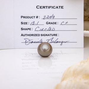 Fiji Loose Saltwater Pearl with Grade Certificate #3249 - FJD$