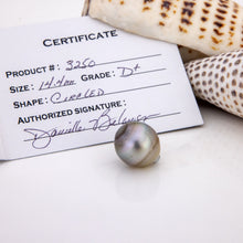 Load image into Gallery viewer, Fiji Loose Saltwater Pearl with Grade Certificate #3250 - FJD$
