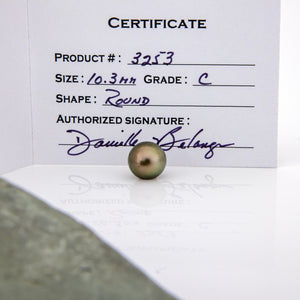 Fiji Loose Saltwater Pearl with Grade Certificate #3253 - FJD$