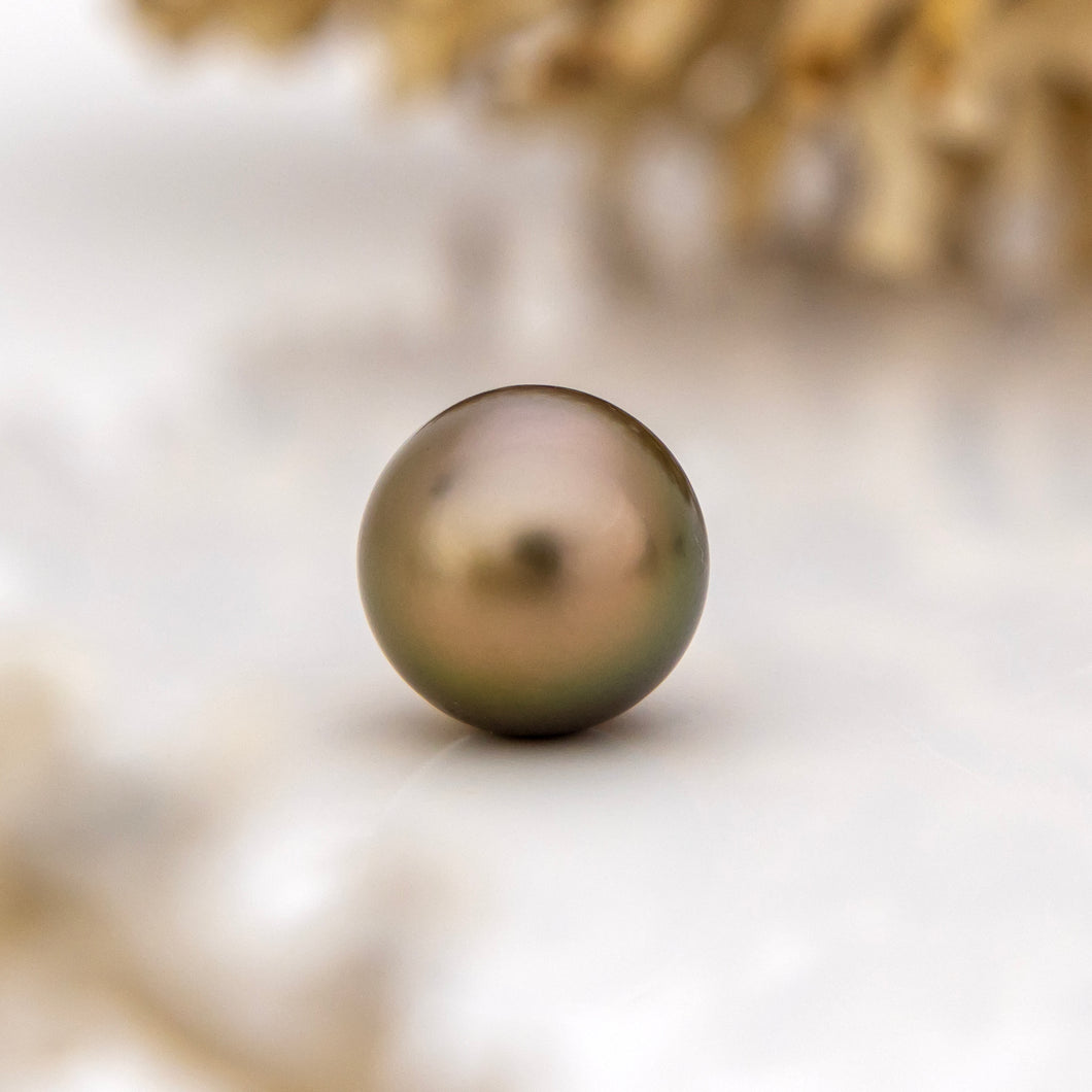 Fiji Loose Saltwater Pearl with Grade Certificate #3255 - FJD$