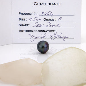 Fiji Loose Saltwater Pearl with Grade Certificate #3256 - FJD$