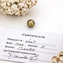 Load image into Gallery viewer, Fiji Loose Saltwater Pearl with Grade Certificate #4007 - FJD$
