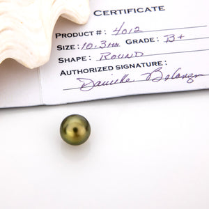 Fiji Loose Saltwater Pearl with Grade Certificate #4012 - FJD$