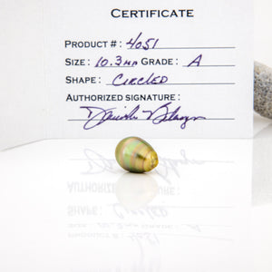 Fiji Loose Saltwater Pearl with Grade Certificate #4051 - FJD$