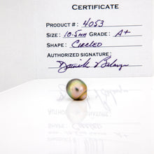 Load image into Gallery viewer, Fiji Loose Saltwater Pearl with Grade Certificate #4053 - FJD$
