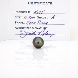 Fiji Loose Saltwater Pearl with Grade Certificate #4055 - FJD$