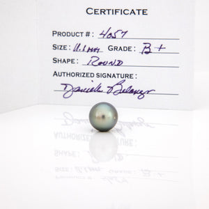 Fiji Loose Saltwater Pearl with Grade Certificate #4057 - FJD$