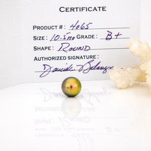 Fiji Loose Saltwater Pearl with Grade Certificate #4065 - FJD$