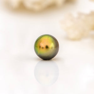 Fiji Loose Saltwater Pearl with Grade Certificate #4065 - FJD$