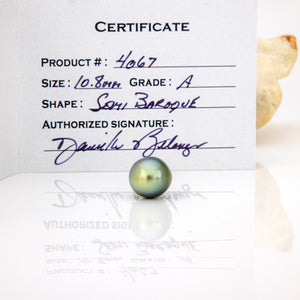 Fiji Loose Saltwater Pearl with Grade Certificate #4067 - FJD$