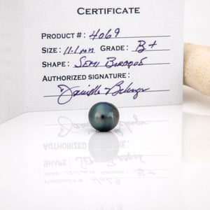 Fiji Loose Saltwater Pearl with Grade Certificate #4069 - FJD$