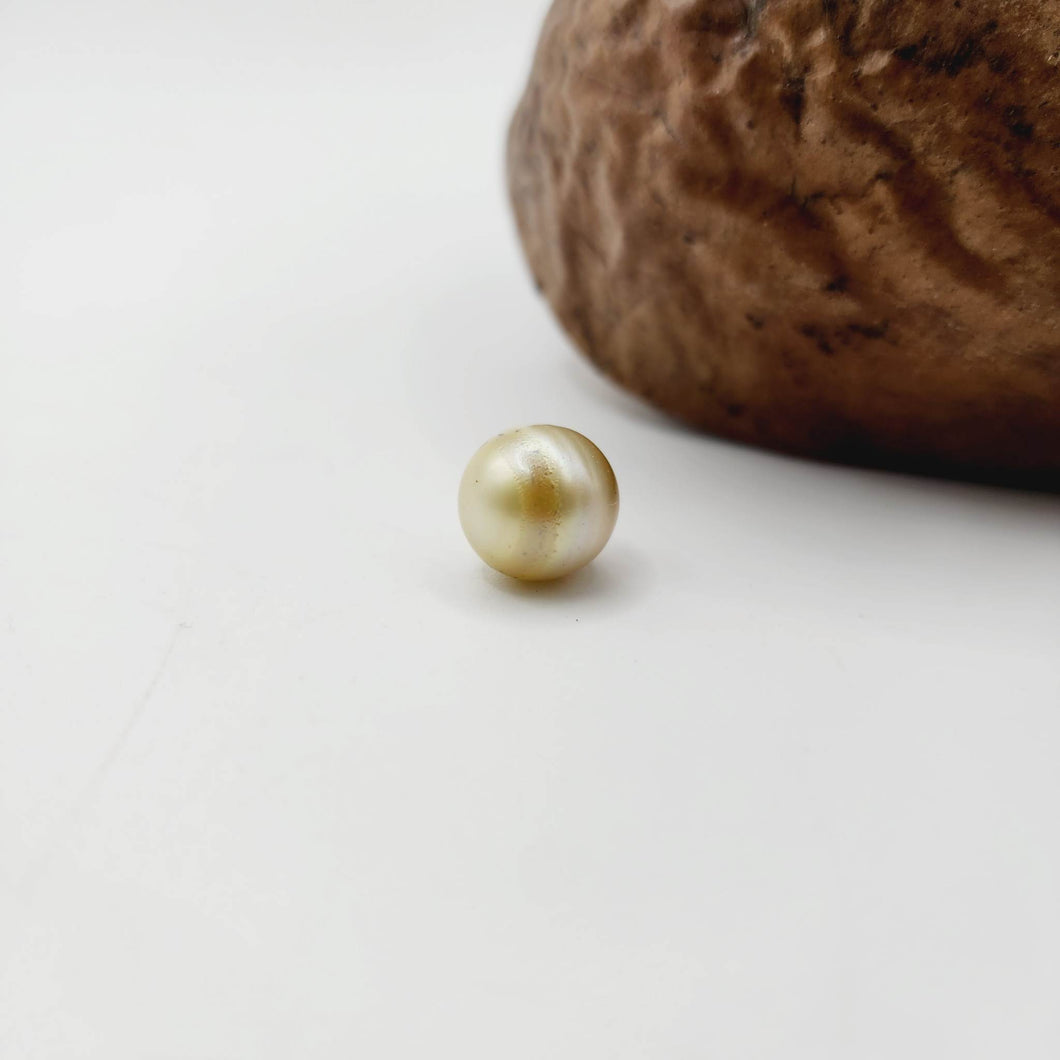 Civa Fiji Saltwater Loose Pearl - FJD$