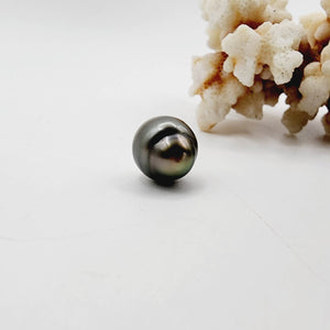 Civa Fiji Saltwater Loose Pearl - FJD$