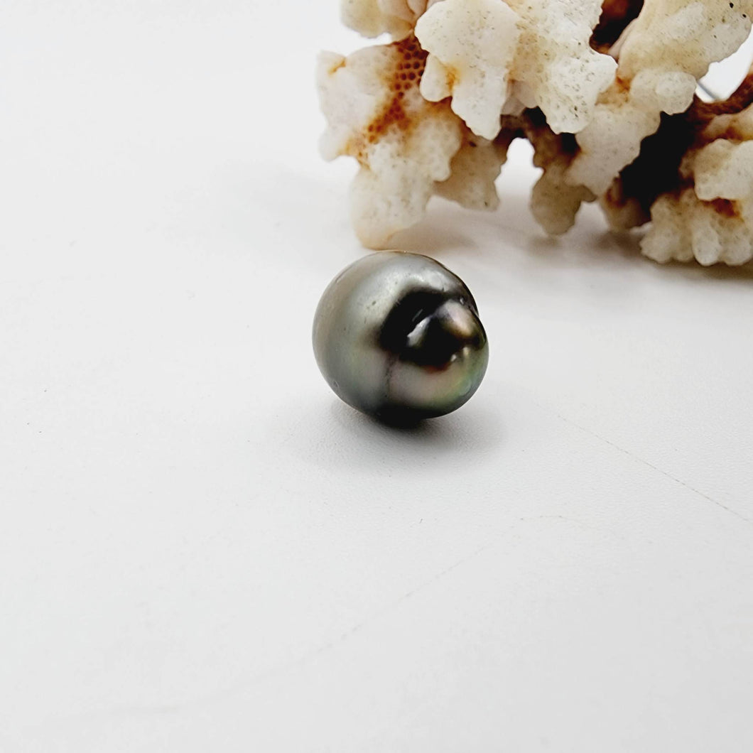 Civa Fiji Saltwater Loose Pearl - FJD$