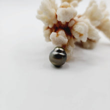 Load image into Gallery viewer, Civa Fiji Saltwater Loose Pearl - FJD$
