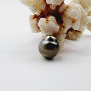 Civa Fiji Saltwater Loose Pearl - FJD$