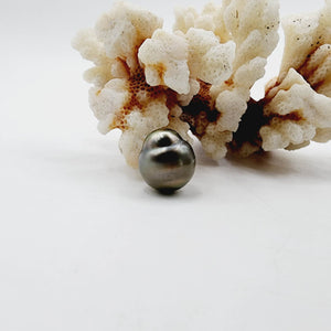 Civa Fiji Saltwater Loose Pearl - FJD$