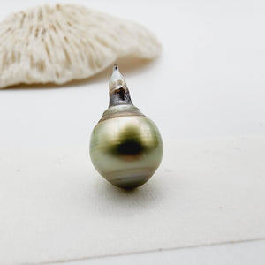 Civa Fiji Saltwater Loose Pearl - FJD$