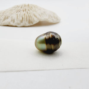 Civa Fiji Saltwater Loose Pearl - FJD$