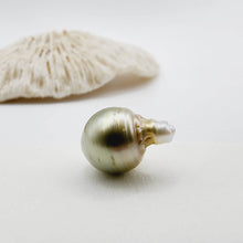 Load image into Gallery viewer, READY TO SHIP Civa Fiji Saltwater Pearl Necklace - 14k Gold Fill FJD$
