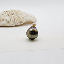 Load image into Gallery viewer, READY TO SHIP Civa Fiji Saltwater Pearl Necklace - 14k Gold Fill FJD$
