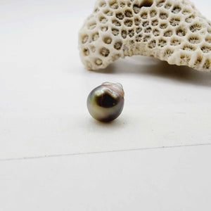 Civa Fiji Loose Pearl - FJD$