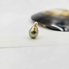 Load image into Gallery viewer, READY TO SHIP Civa Fiji Saltwater Pearl Necklace - 14k Gold Fill FJD$
