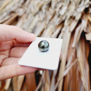 Civa Fiji Loose Saltwater Pearl - FJD$