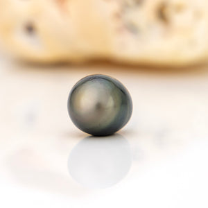 Civa Fiji Loose Saltwater Pearl - FJD$