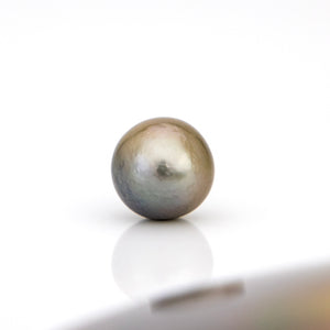 Civa Fiji Loose Saltwater Pearl - FJD$