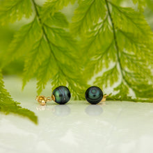 Load image into Gallery viewer, READY TO SHIP Civa Fiji Saltwater Pearl Stud Earrings - 14k Gold Fill FJD$
