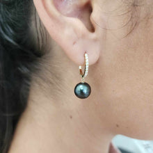 Load image into Gallery viewer, READY TO SHIP Civa Fiji Graded Pearl Earrings - 14k Solid Gold FJD$
