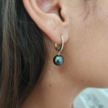 Load image into Gallery viewer, READY TO SHIP Civa Fiji Graded Pearl Earrings - 14k Solid Gold FJD$
