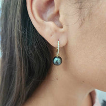 Load image into Gallery viewer, READY TO SHIP Civa Fiji Graded Pearl Earrings - 14k Solid Gold FJD$
