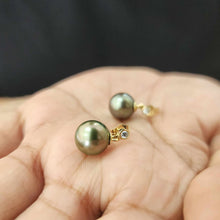 Load image into Gallery viewer, READY TO SHIP Civa Fiji Graded Pearl Earrings #BO3024 - 14k Solid Gold FJD$
