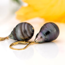 Load image into Gallery viewer, READY TO SHIP Fiji Pearl Earrings - 14k Gold Fill FJD$
