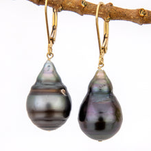 Load image into Gallery viewer, READY TO SHIP Fiji Pearl Earrings - 14k Gold Fill FJD$
