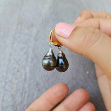 Load image into Gallery viewer, READY TO SHIP Fiji Pearl Earrings - 14k Gold Fill FJD$
