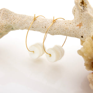 READY TO SHIP Shell Money Earrings - 14k Gold Fill FJD$