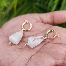 Load image into Gallery viewer, READY TO SHIP Shell Huggie Earrings - 14k Gold Fill FJD$
