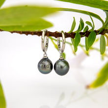 Load image into Gallery viewer, READY TO SHIP Fiji Pearl Huggie Earrings - 925 Sterling Silver FJD$
