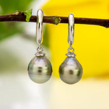 Load image into Gallery viewer, READY TO SHIP Fiji Pearl Huggie Earrings - 925 Sterling Silver FJD$
